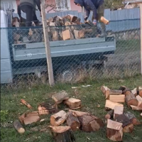 Lemne de foc pentru Mihaela Gafa